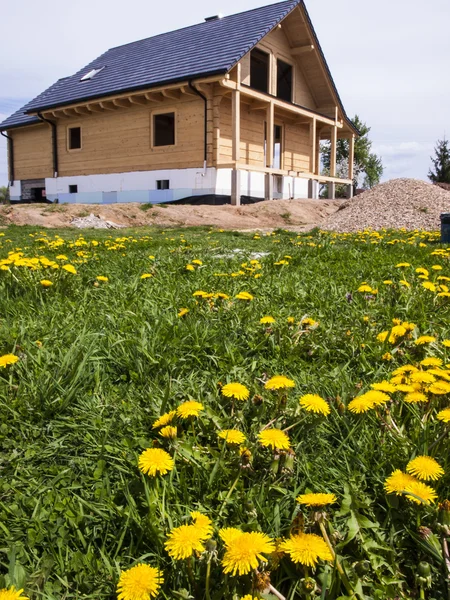 Building of a wooden house on a meadow
