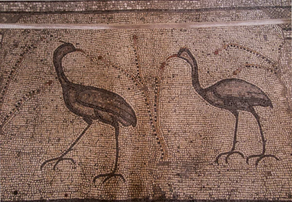 Ancient mosaic. Church of the Multiplication of the Loaves and t