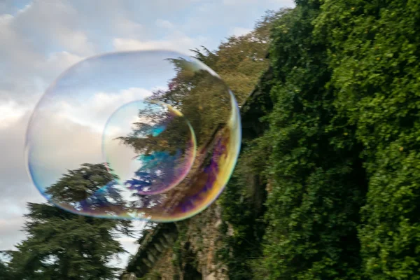 Soap bubble in a park