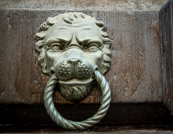 Lion door knocker