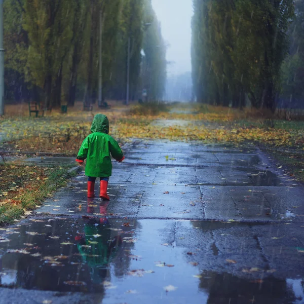 Toddler in autumn rainy park