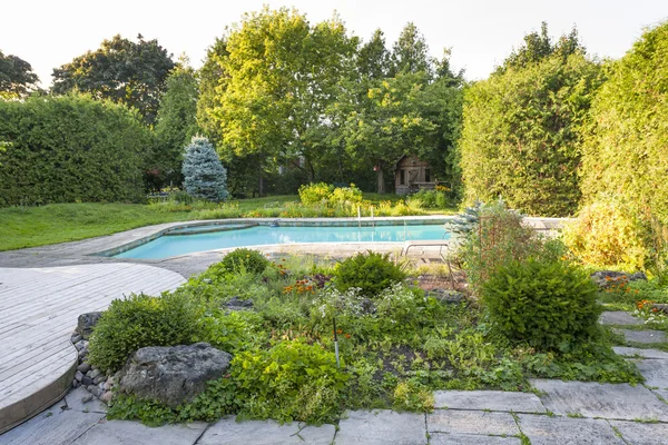 Garden and swimming pool in backyard