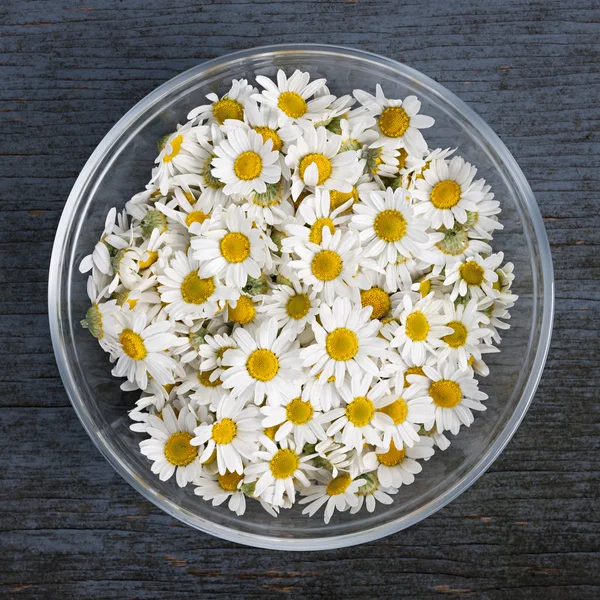 Chamomile flowers in bowl