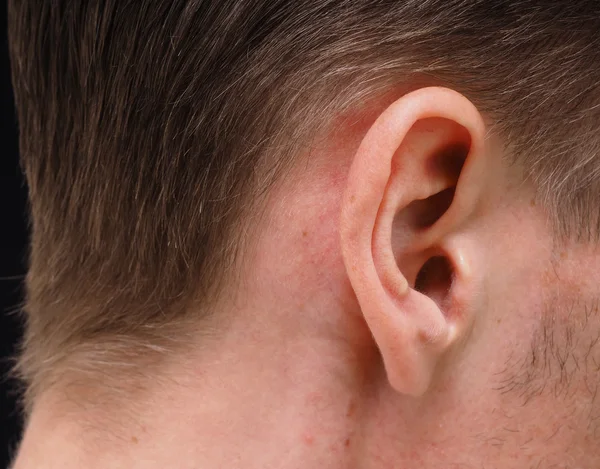 Ear of caucasian male person