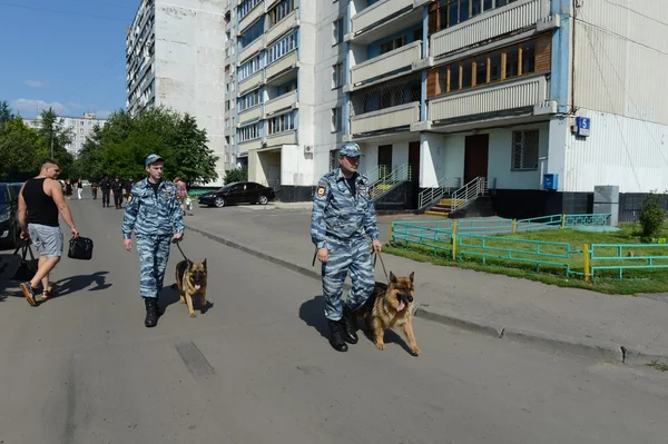 Police officers patrol the streets with dogs