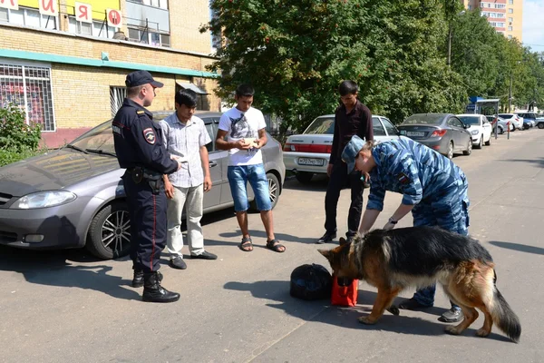 Police officers inspect the documents on the streets in the suburban town of Khimki