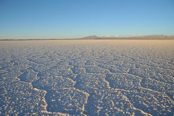 The Uyuni salt flats