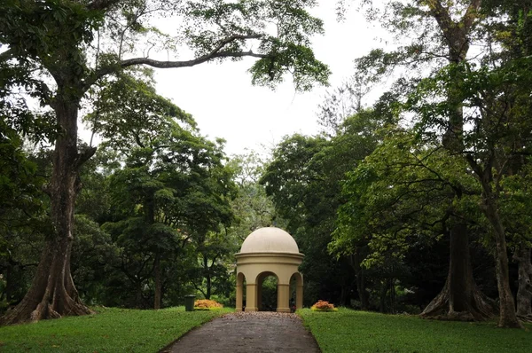 Unique Royal Botanical gardens in Peradeniya is considered as one of the best in Asia, as it contains a collection of 4000 species of plants.