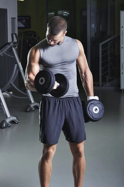 Handsome Muscular Male Model in a Standing Position With Dumbbells Doing Biceps Exercise