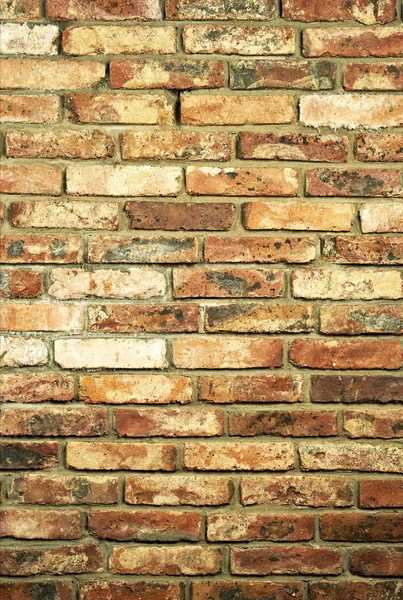 Vertical view of a wall made of bricks. Traditional material. Grunge background of brick wall texture