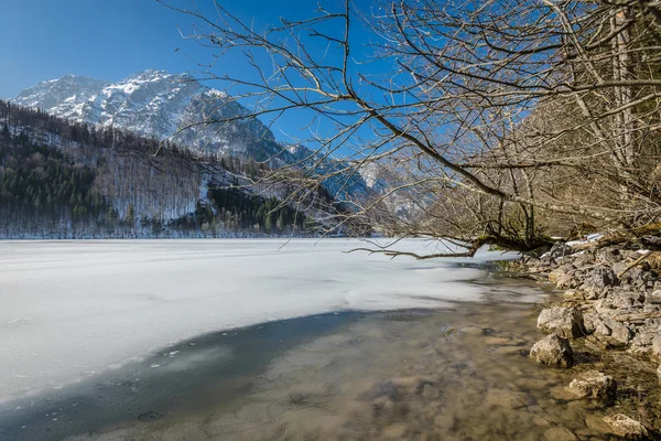 Lake in winter