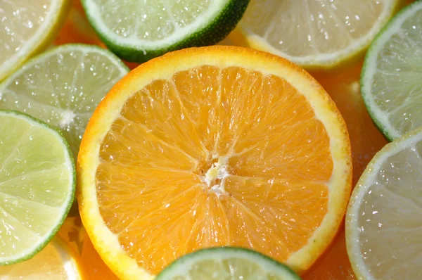 Orange slice among citrus fruit