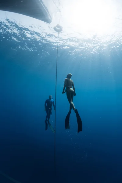 Divers swimming under the water