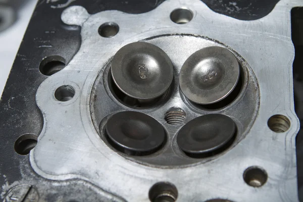 Cylinder head and valves