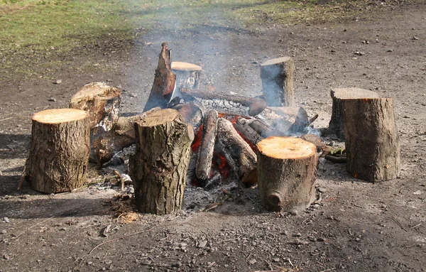 Wood Log Fire.