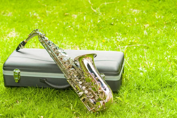 Beautiful golden saxophone lying across black instumental case on grassy surface