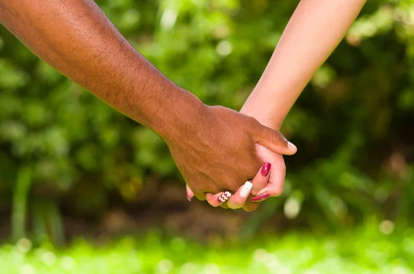 Arms of interracial couple holding hands, great love symbolic concept, green garden background