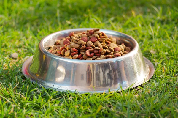 Closeup metal bowl with fresh dog food sitting on green grass, animal nutrition concept