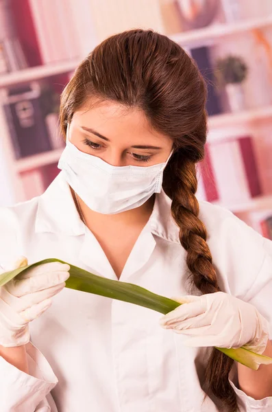 Young female biologist experimenting with leaf