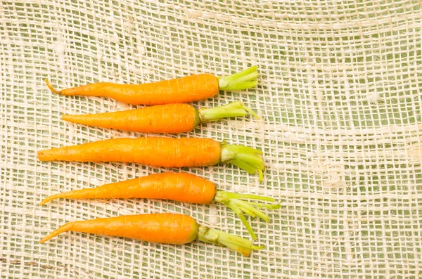 Five fresh carrots with green neatly placed on a hemp fabric