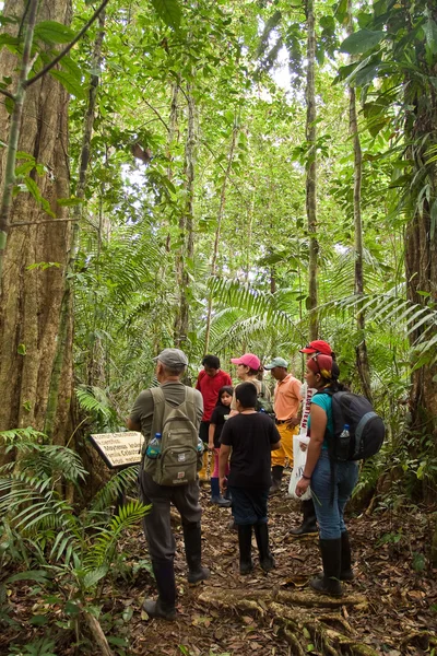 Unidentified tourists on a tour trekking the amazon rainforest, Yasuni National Park, Ecuador