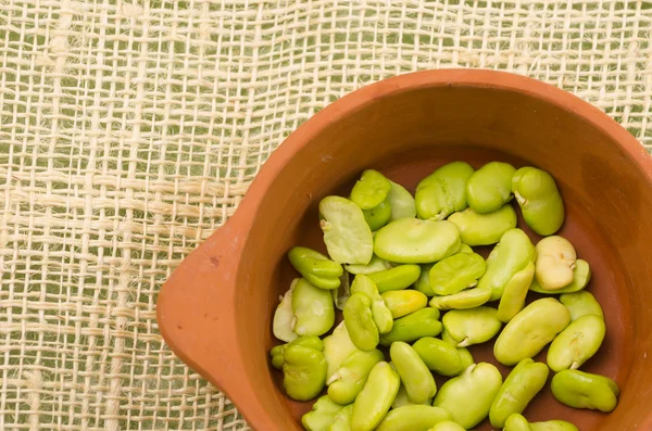 Lima beans inside ceramic terracota bowl
