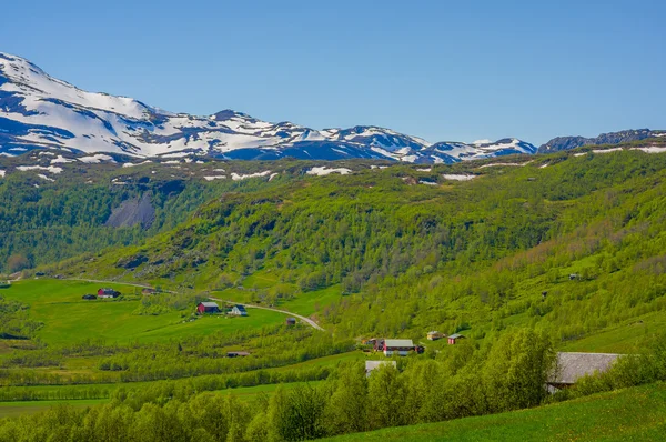 VALDRES, NORWAY - 6 JULY, 2015: Stunning nature on Valdresflya, green covered landscape stretches far as eye can see with spots of snow and lakes under beautiful blue sky