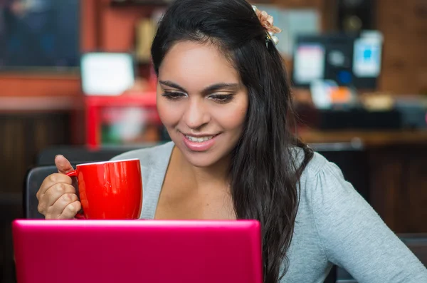 Attractive brunette wearing grey sweater sitting at restaurant table working with pink laptop and holding red coffee mug close to mouth