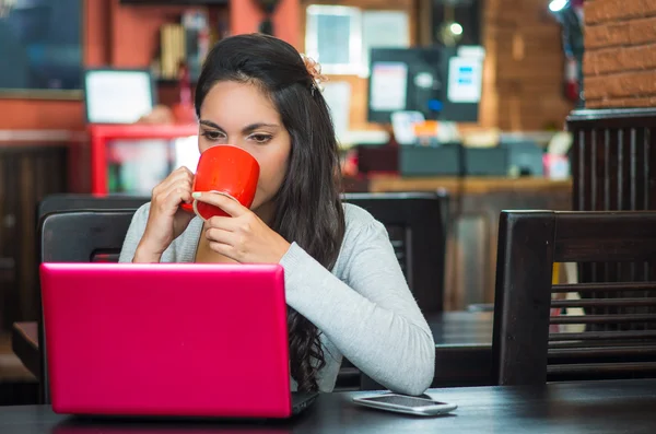 Attractive brunette wearing grey sweater sitting at restaurant table working with pink laptop and holding red coffee mug close to mouth