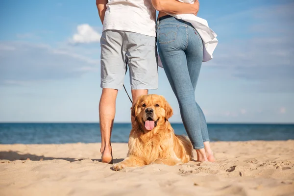 Back view of dog lying on beach near young couple