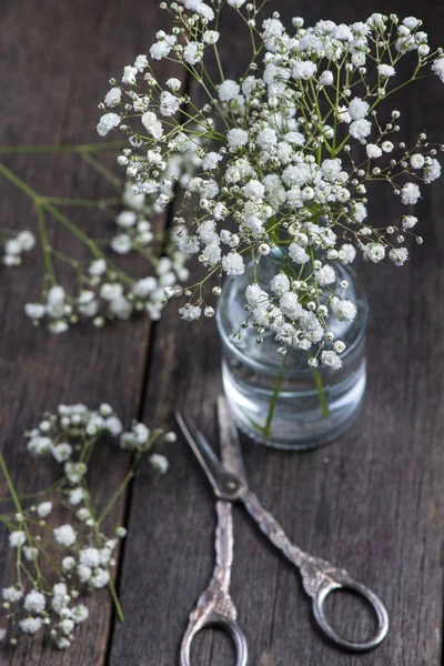 Fresh wild meadow white flowers in mason jar