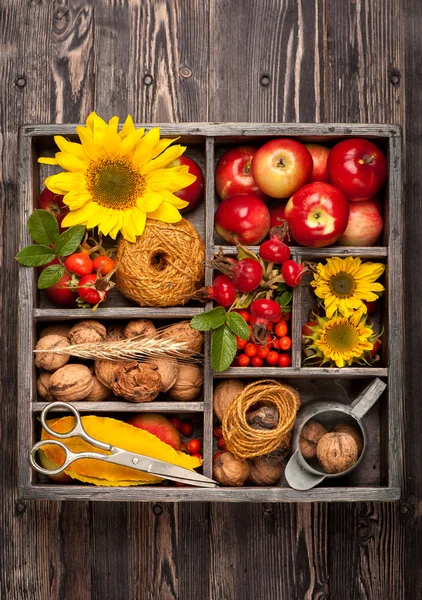 Autumn composition with flowers sunflowers, red apples, nuts in vintage wooden box. Collage autumn.