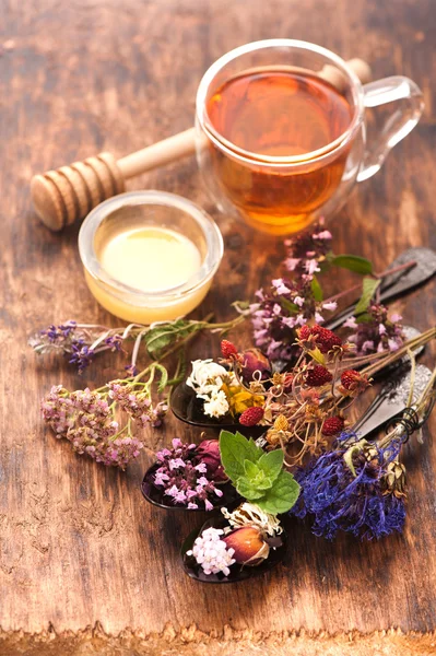 Dried and fresh herbs and flowers and herbal tea. Herbal medicine