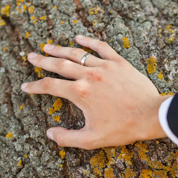 Groom hand leaned on trunk of tree, close-up