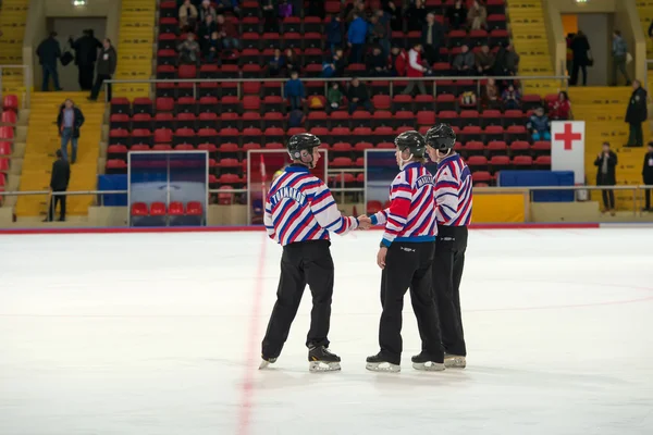 Match referee on the bandy game
