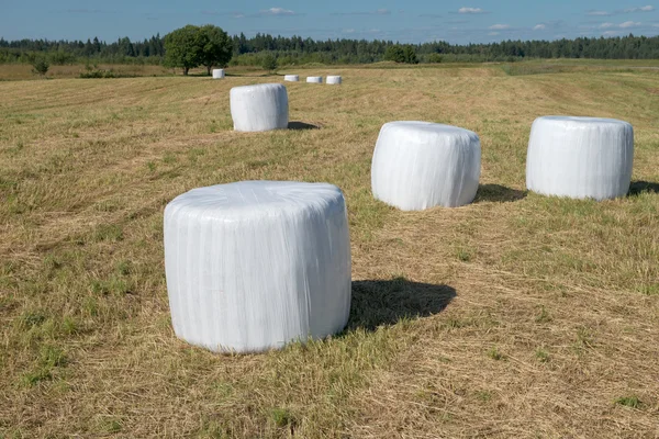 Agricultural work. Grass packed in rolls