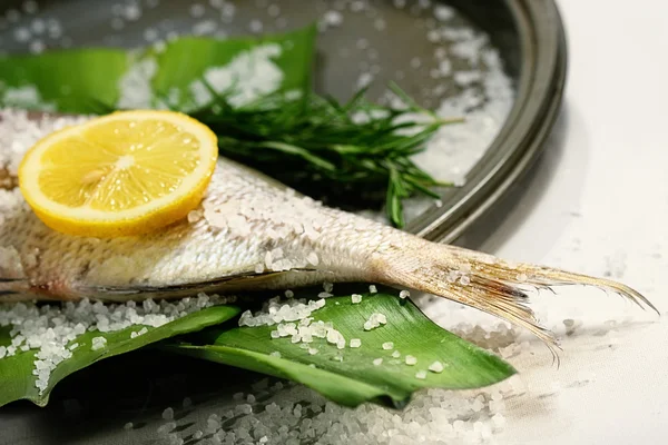 Fish tale with lemon, salt and herbs