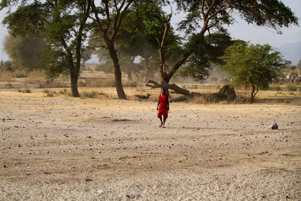 Masai tribal man