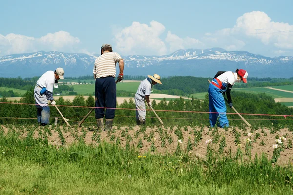 Farmers in Japan.