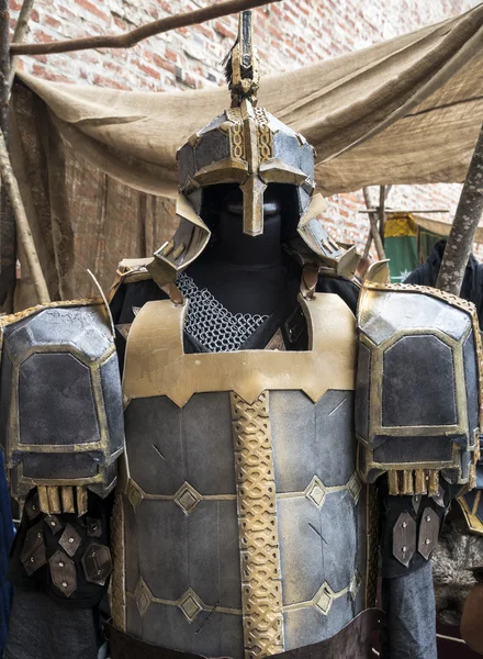 Fantasy medieval metal armor protective wear swordman
