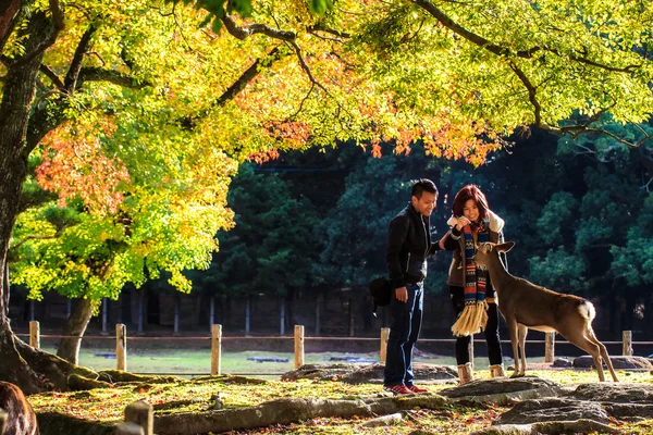 Nara Part at fall