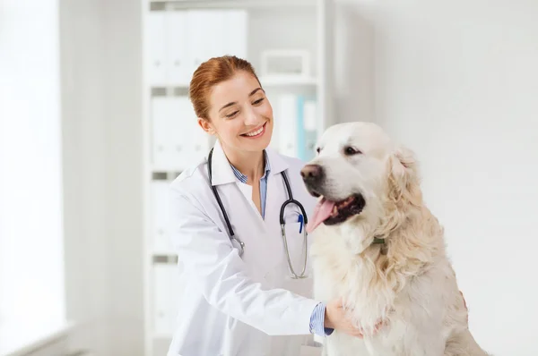 Happy doctor with retriever dog at vet clinic