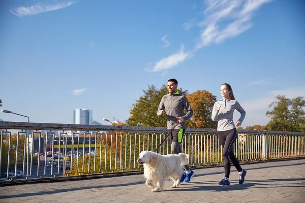 Happy couple with dog running outdoors