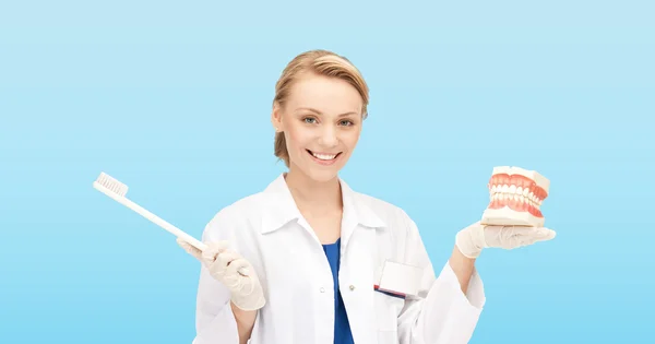 Smiling female doctor with toothbrush and jaws