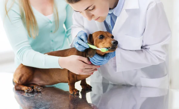 Woman with dog and doctor at vet clinic