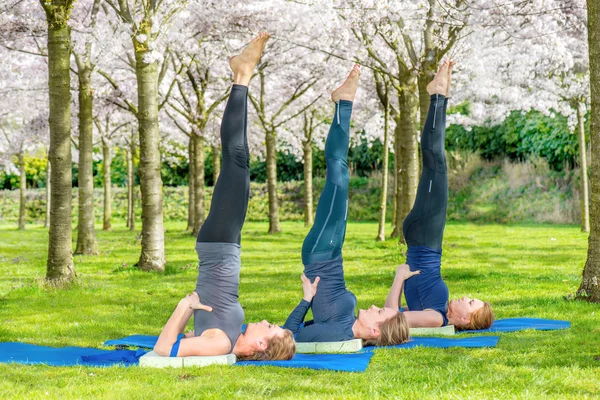 Group practicing shoulder stand