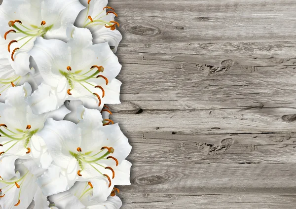 White lily on  wood background