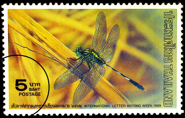 Painting of Dragonfly printed in Thailand circa 1989