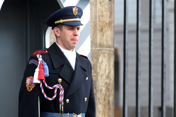 Czech Republic, Prague: The guard on duty