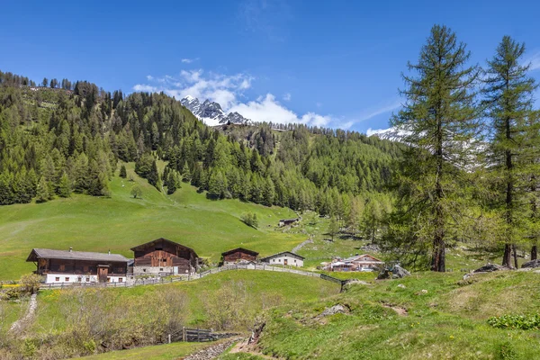 Mountain pasture at the Holy Ghost Church